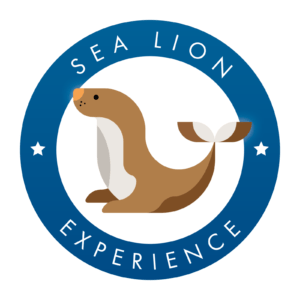 Sea Lion Experience