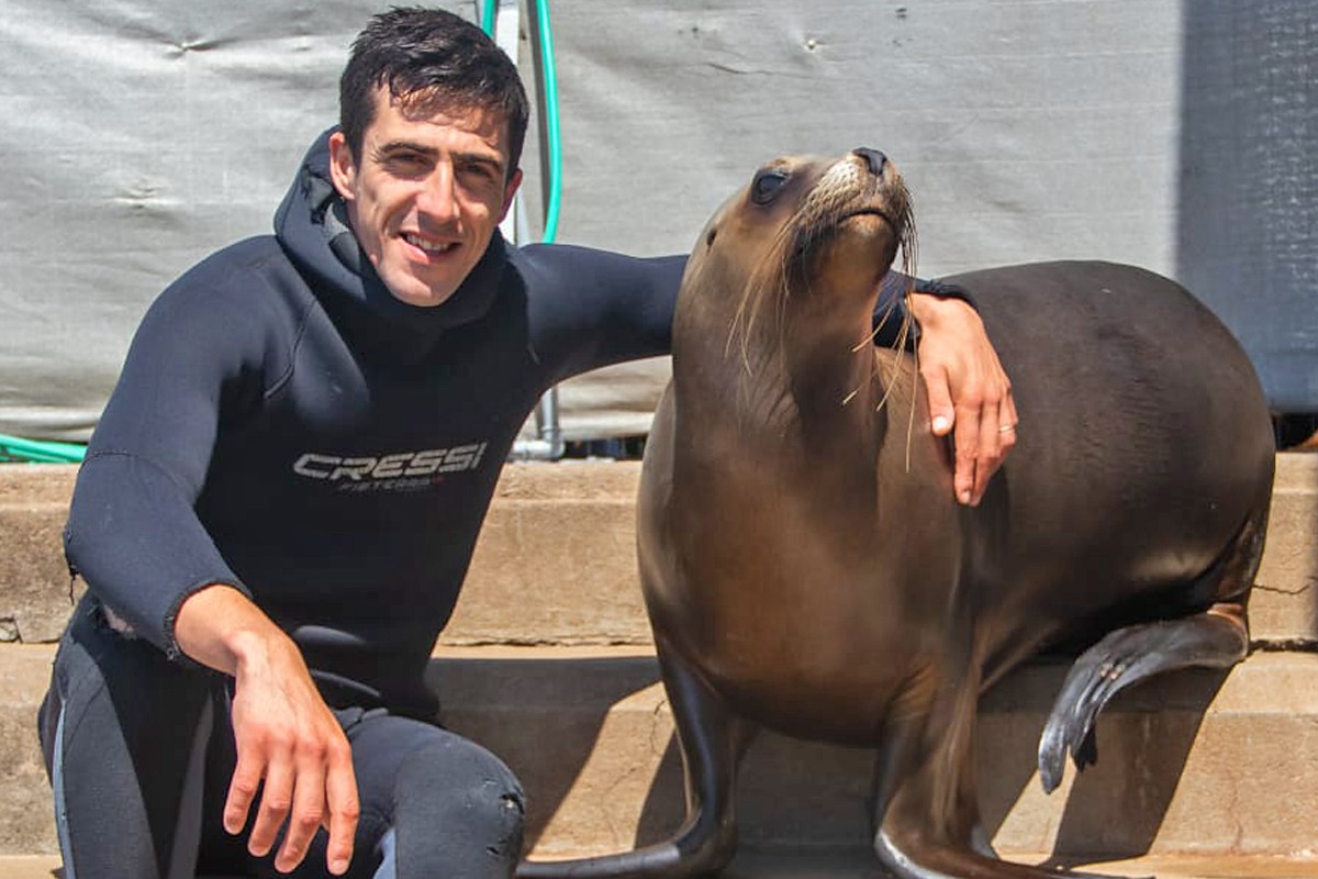 Sea Lion Experience